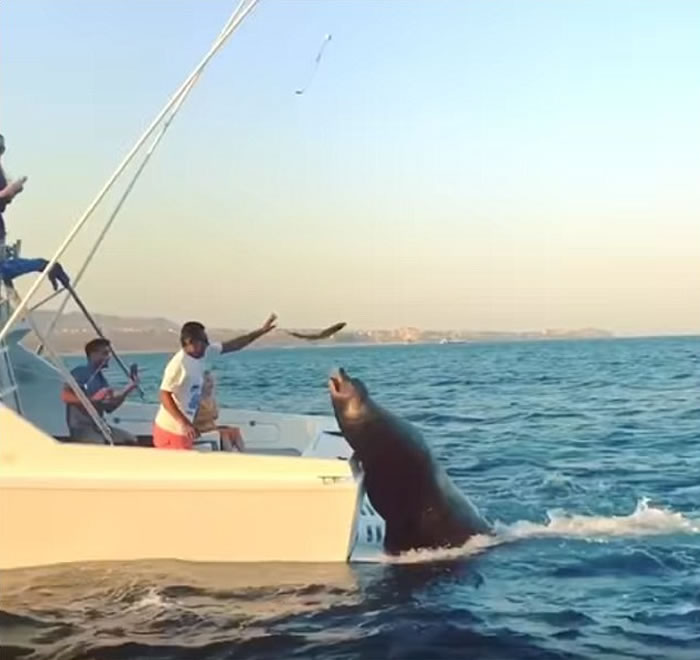 ī���纣ʨ���������д�����Ų�����ȥ