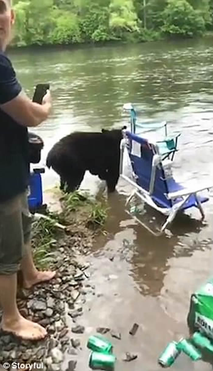 美国西维珍尼亚州小黑熊遇露营客 有得食有得玩