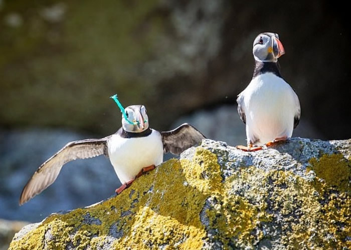 ���ٺ�����ڶ���סһЩ���ܡ������ȡ�