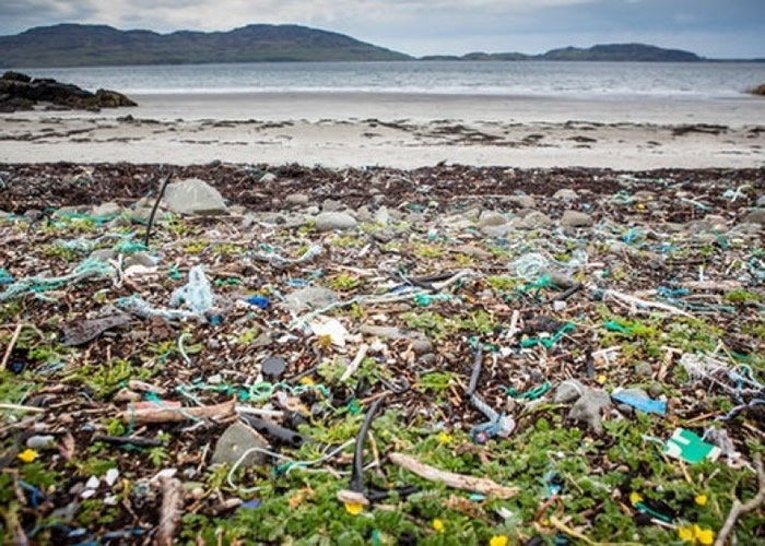 ��ɫ��ƽ����������������ܽ�������