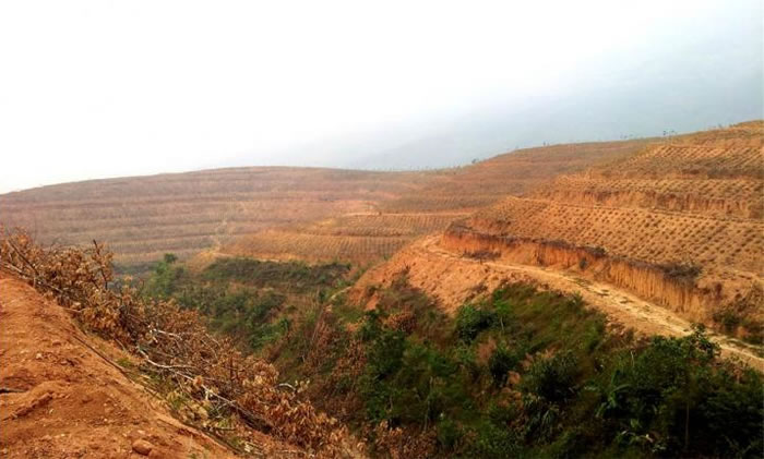 �µ����ǹ۲������������й����ֳɾ͵Ĺ�ģ