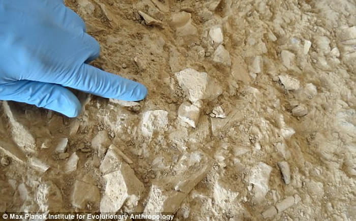 科学家在没有骨骼遗骸化石的洞穴沉积物中发现古人类DNA