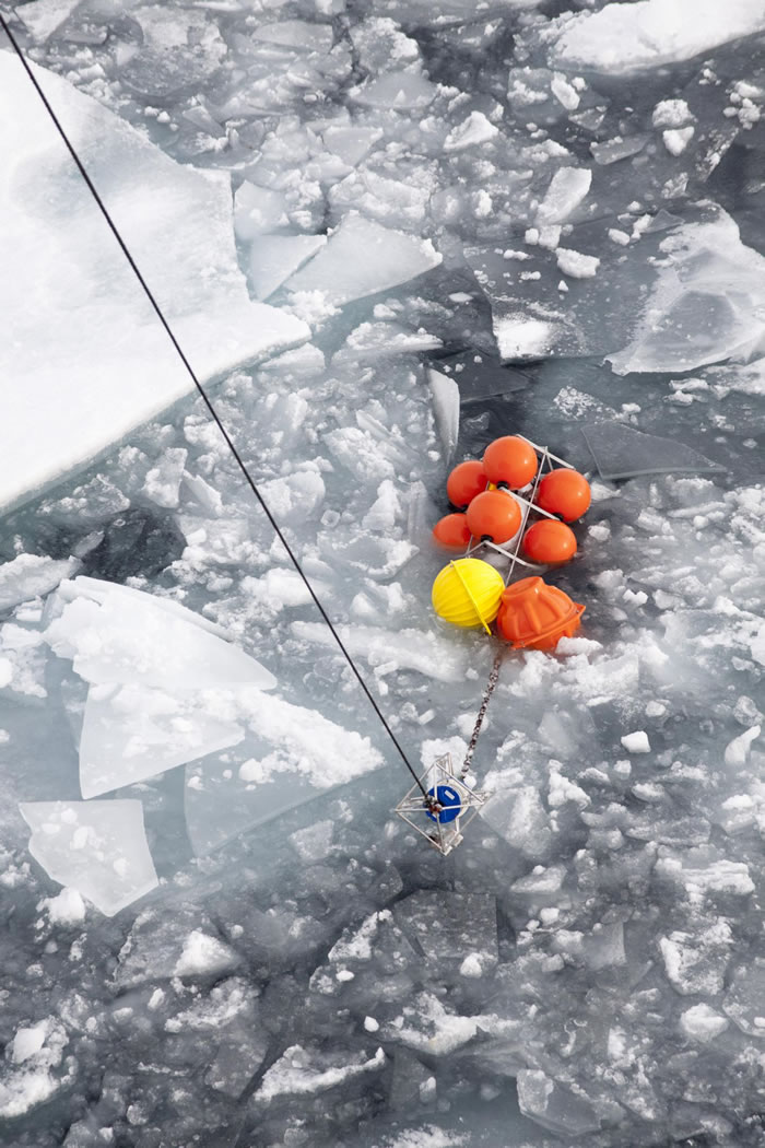 新研究发现:随着气候的改变 北冰洋正变得越来越像大西洋