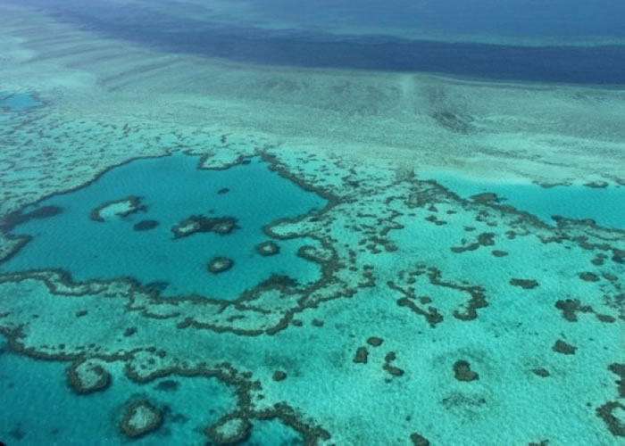 大堡礁是一个“世界宝藏”。