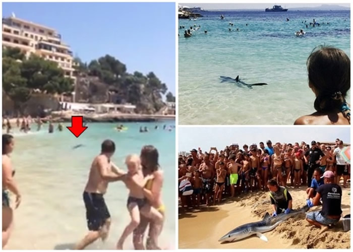 �����ν�����������ʤ�����Կ��� �������˵�����