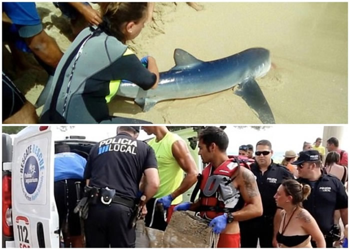 �����ν�����������ʤ�����Կ��� �������˵�����