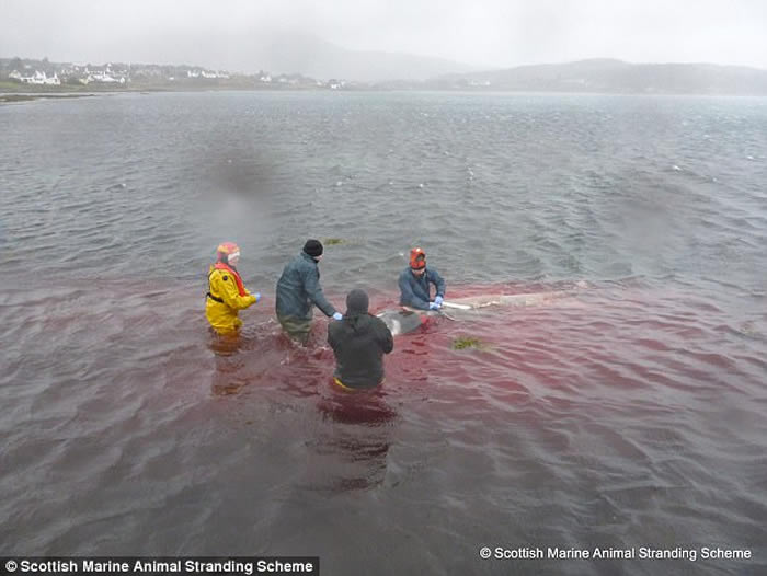 6�����Կ���๾���ǳ�ո���˹�������� ���ڲ�4�������ϴ�