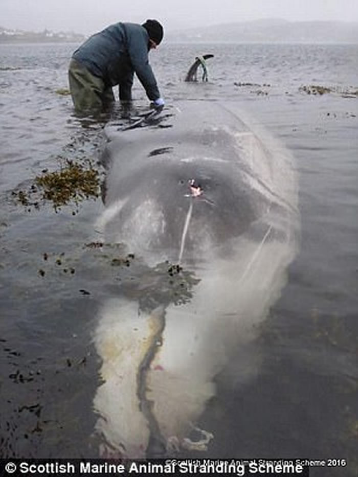 6�����Կ���๾���ǳ�ո���˹�������� ���ڲ�4�������ϴ�