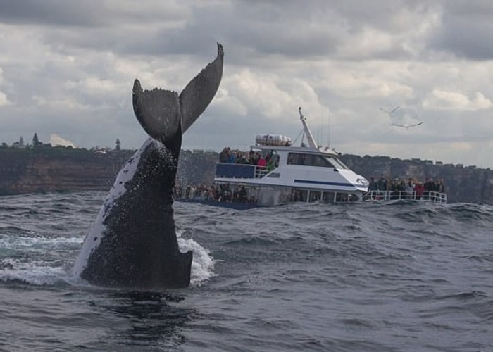 ��ͷ���������С���