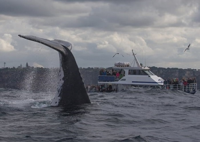 ��ͷ���������������һ���ĺ��ж�����