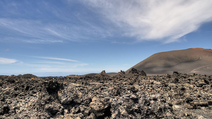 研究报告指地球上第六次物种大灭绝已经上演 人类低估灭绝危机的严重性