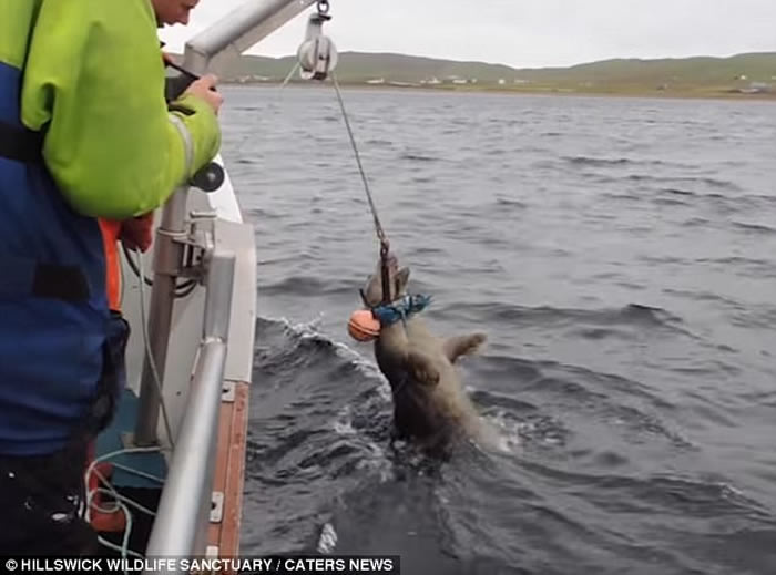 �ո���������������Ⱥ������Ԯ��Ա���ȱ������߲�ס�ĺ���