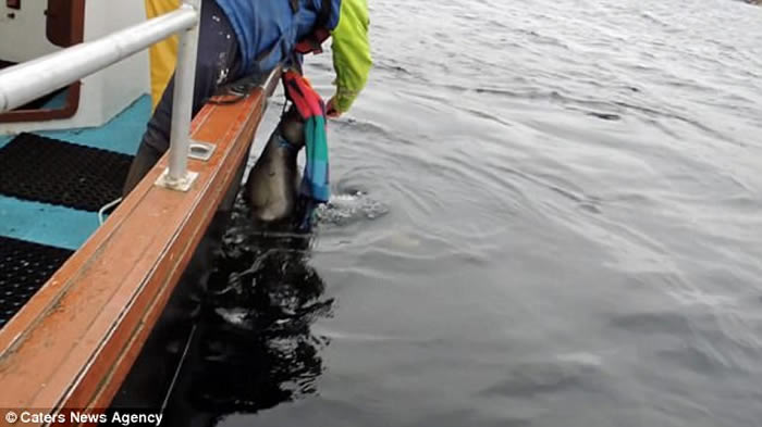 �ո���������������Ⱥ������Ԯ��Ա���ȱ������߲�ס�ĺ���