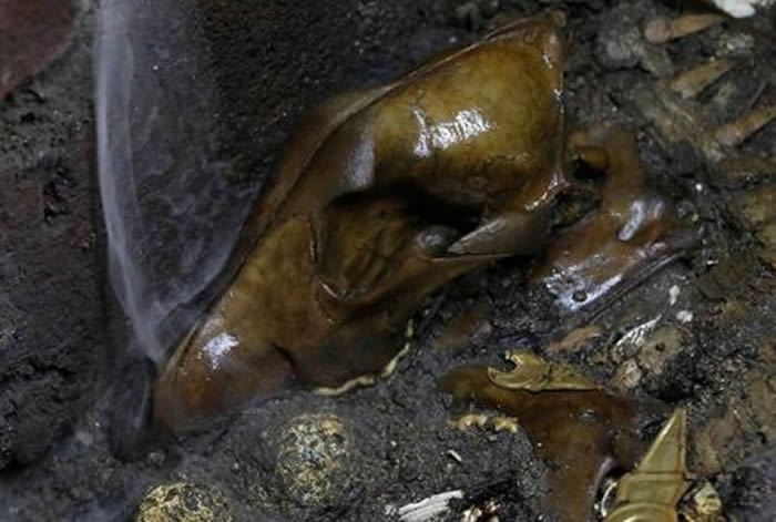 ī����ų������ܷ��㳡����5����ǰ�����ؿ˵۹�ʱ�ڵĻƽ���Ʒ