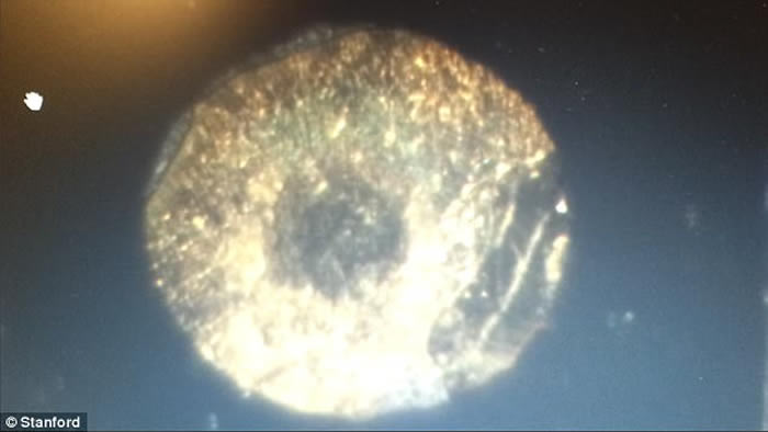 ��ѧ�紴�٣�����ʷ�����ѧ�о���Ա�״���ʵ�������µ���ˮ�����ɡ����Ǳ����Ĺ���