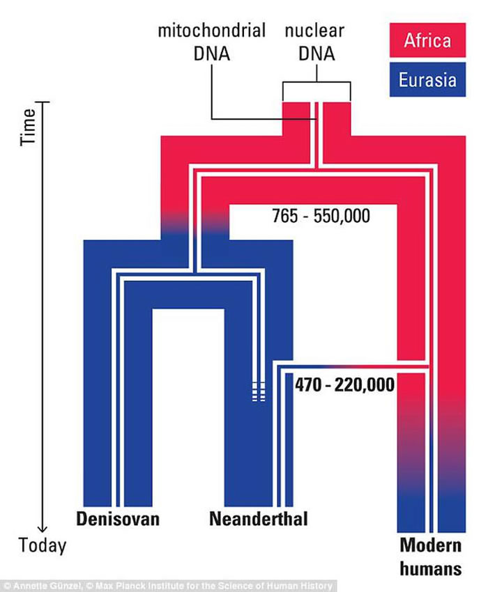 最新发现的一根股骨化石获取的基因数据显示,它属于12.4万年前的穴居人,表明穴居人祖先到达欧洲不久,早期人类就开始离开非洲向欧洲迁移。科学家认为,早期人类与穴居
