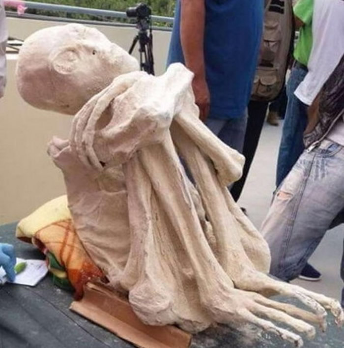 ȻԱJaime Maussan³ɳĮ˹3ָֻľ