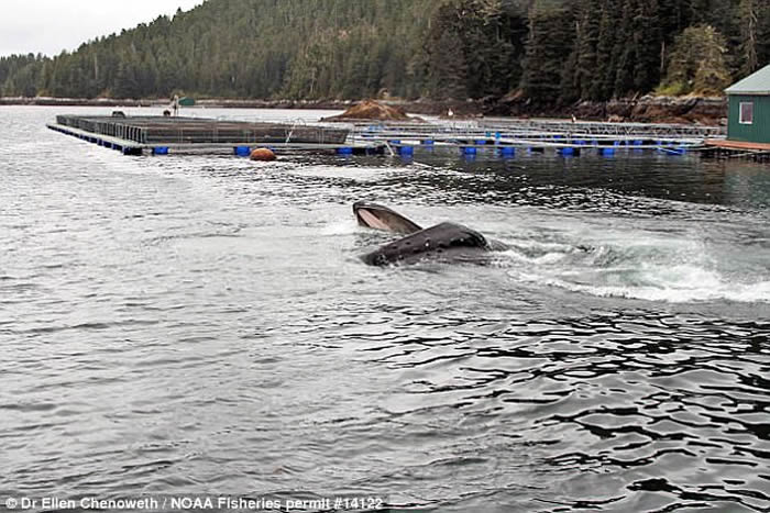 ��������˹���ݴ�����ͷ��ѧ��������ֳ���� ���׳��´�����������