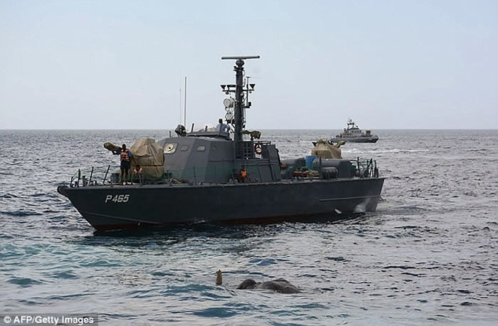 斯里兰卡大象困怒海获海军营救
