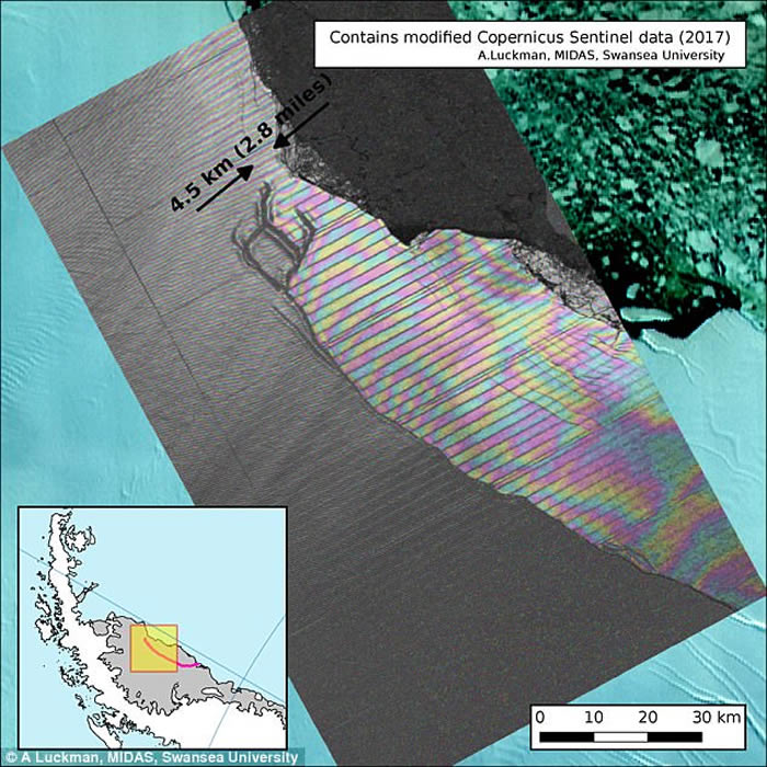 ���ڶ��ؾ��ͱ�ɽ���ϼ���ɭ-C���ܶ������� �����5�����