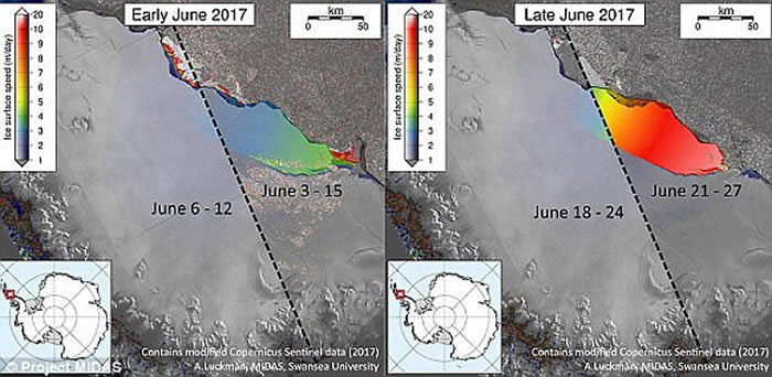 ���ڶ��ؾ��ͱ�ɽ���ϼ���ɭ-C���ܶ������� �����5�����