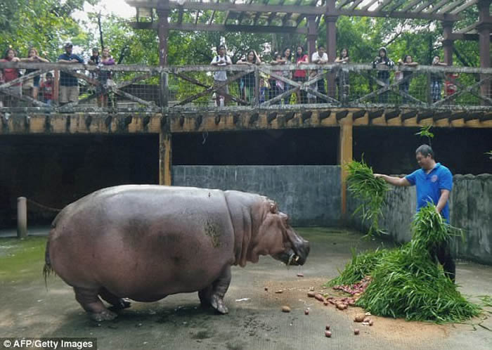 ȫ�����곤�ĺ����ڷ��ɱ�����������԰ȥ�� ����65��