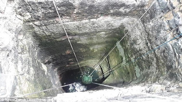 ӡ�Ȼ���Ա�ɹ������һֻĸʨ�ȳ�