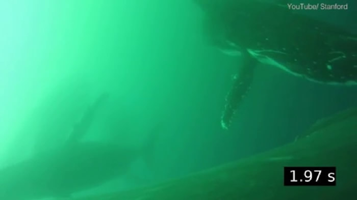 ����ʷ������ѧ�о���Ա�״��ĵ�����Ƭ�Σ���ͷ���������Ķ�ǰ��ǱӾ