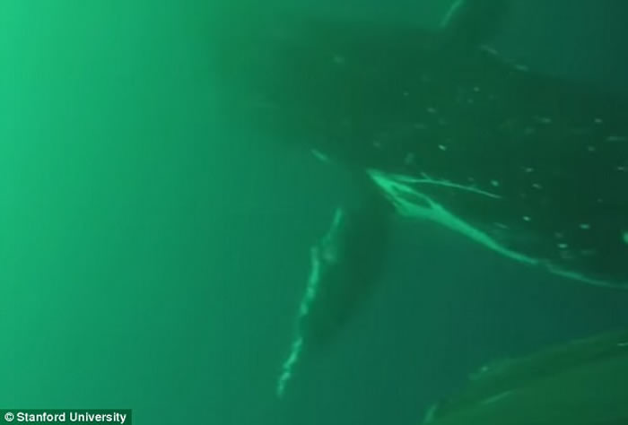 ����ʷ������ѧ�о���Ա�״��ĵ�����Ƭ�Σ���ͷ���������Ķ�ǰ��ǱӾ