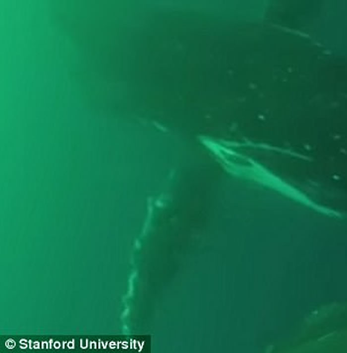 ����ʷ������ѧ�о���Ա�״��ĵ�����Ƭ�Σ���ͷ���������Ķ�ǰ��ǱӾ