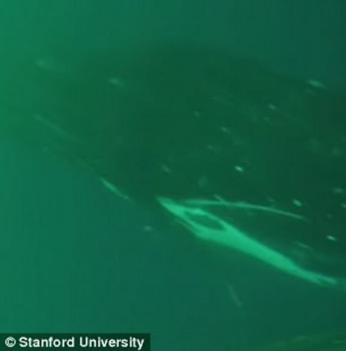 ����ʷ������ѧ�о���Ա�״��ĵ�����Ƭ�Σ���ͷ���������Ķ�ǰ��ǱӾ