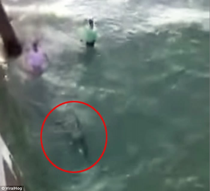 ���������������������ں�̲����ͼͽ��׽ס���� ������ҧѪȾ��