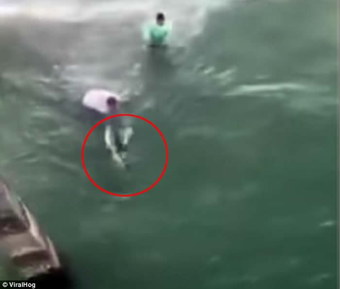 ���������������������ں�̲����ͼͽ��׽ס���� ������ҧѪȾ��