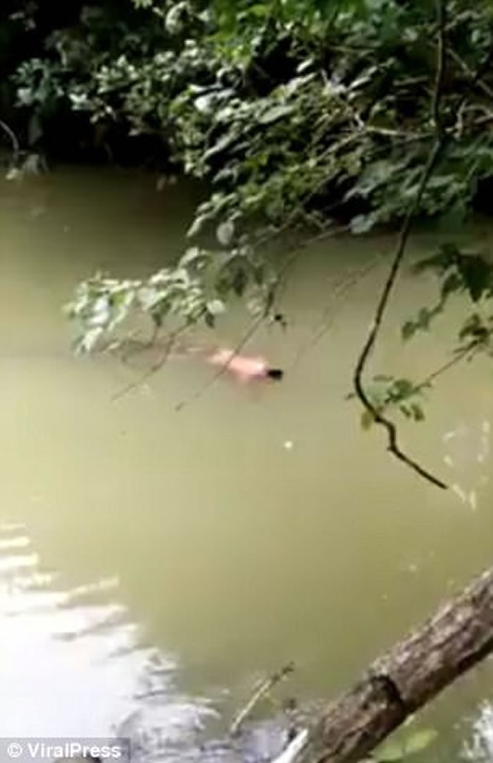 太离奇了!印尼男子河边沐浴遭巨鳄叼走 家人求助巫师后鳄鱼竟将尸体送回岸边