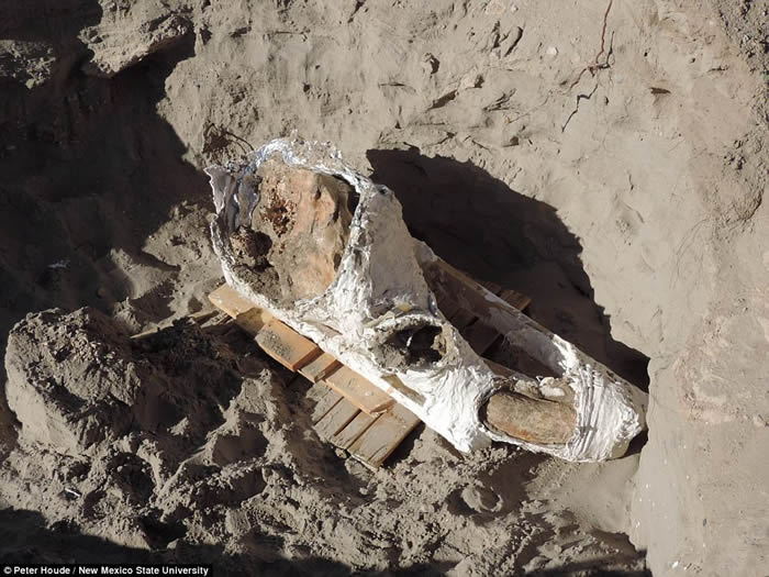 ī10к· ⷢ120ǰǰʯ