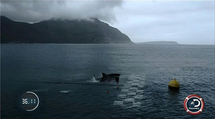 ����DiscoveryƵ����¼Ƭ�������㡱�ƶ���˹���׶Ծ������ ����������