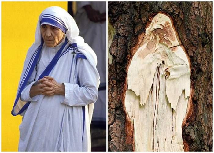 ����ͼ������ͼ���������뵽������Ů����ͼ����