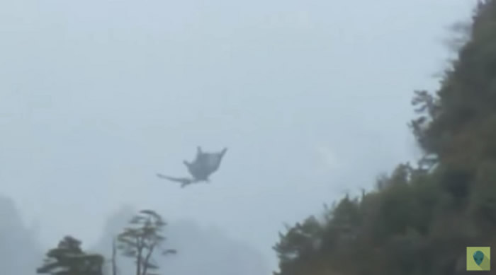 ���⵽�й���ɽ�ĵ�����еĵ������ ���Ѻ��������żҽ�Ҳ����