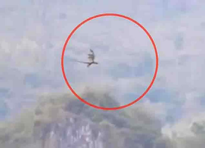 ���⵽�й���ɽ�ĵ�����еĵ������ ���Ѻ��������żҽ�Ҳ����