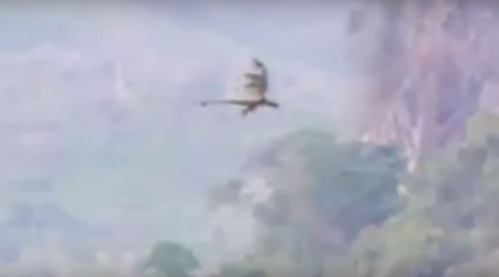 ���⵽�й���ɽ�ĵ�����еĵ������ ���Ѻ��������żҽ�Ҳ����