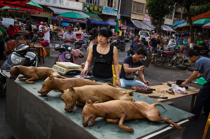 �Թ��ⳤ�����������й���ϰ�ߣ���������ϰ���Ѿ���Ϊ��������ս���ʢ�Ķ����˶���Ҫ������Ŀ�ꩤ�������˶���༯�����й��غ����С� PHOTOGRAPH BY AD