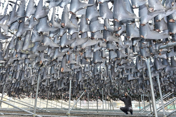 һλ������Ŵ�������������ɹ�ɡ����й������ڴ��̰������ֹ���κιٷ������Ϲ�Ӧ�����������Ұ������ʳƷ�� PHOTOGRAPH BY THE YOMIURI S