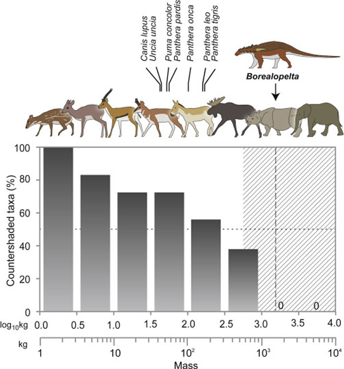 发现身披“迷彩服”的新甲龙种类Borealopelta markmitchelli 存在反荫蔽