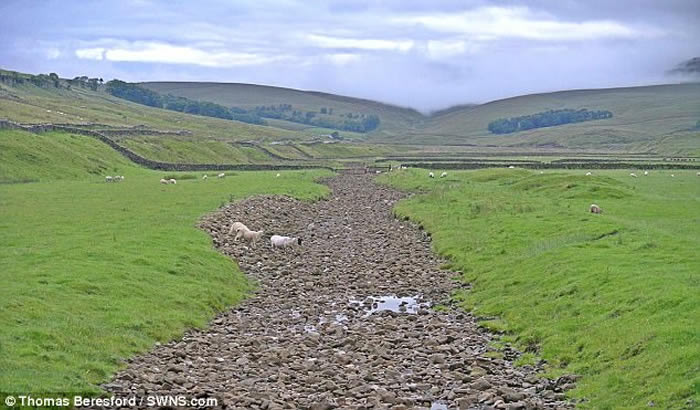 Ӣ��Լ�˿��ȵظɺԺӵ���������±�������ˮ ��Ȼ��ò˲���Ȼ��ͬ