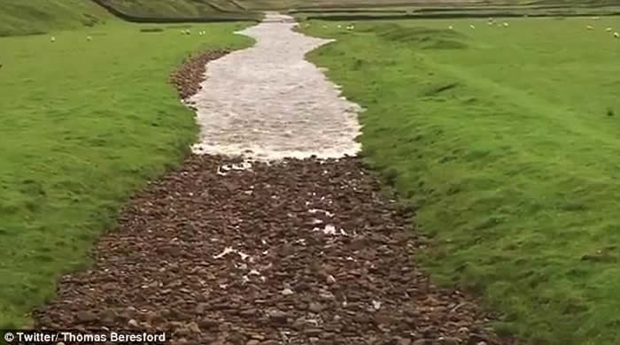 Ӣ��Լ�˿��ȵظɺԺӵ���������±�������ˮ ��Ȼ��ò˲���Ȼ��ͬ