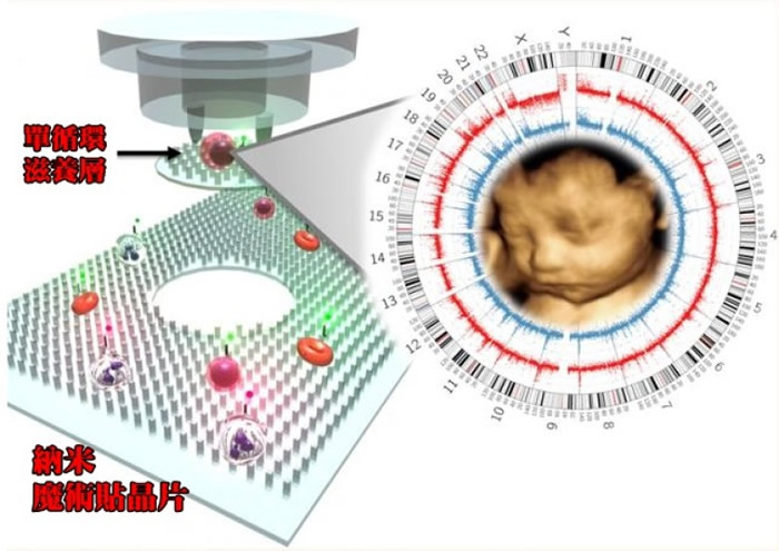 医疗人员日后式可以非侵入性诊断方法检验胚胎健康状况。
