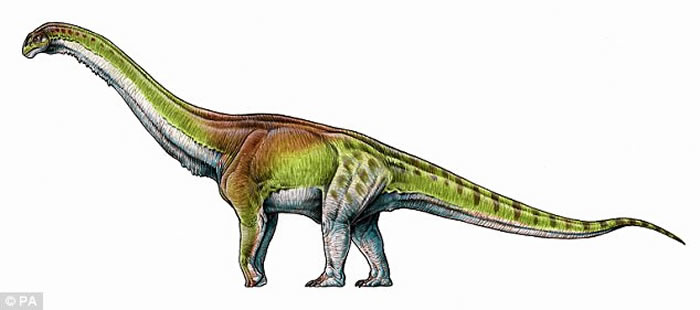 阿根廷巴塔哥尼亚发现迄今最大恐龙——巴塔哥泰坦龙Patagotitan mayorum