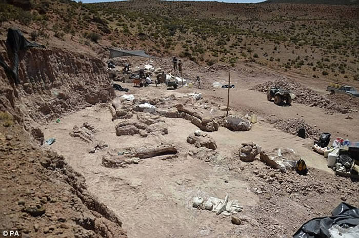 阿根廷巴塔哥尼亚发现迄今最大恐龙——巴塔哥泰坦龙Patagotitan mayorum