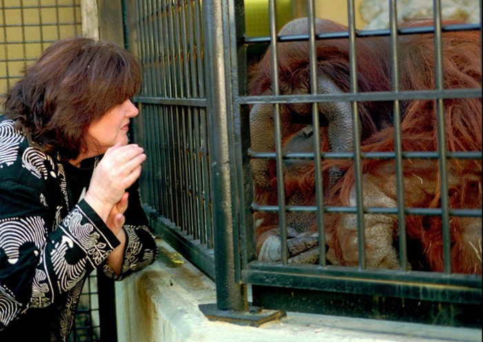 迈尔丝于1997年探望尚特克(右)。