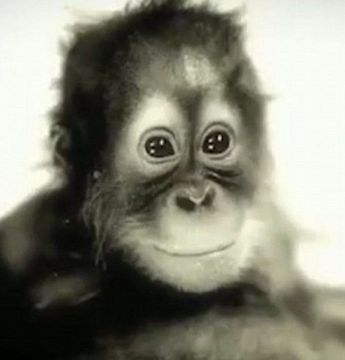 尚特克如小孩般上幼稚园。